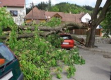 Kwikfynd Tree Cutting Services
holmesglen